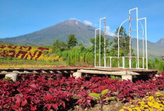 Pesona Tersembunyi Arum Rinjani Park, Surga Wisata Alam di Kaki Gunung