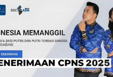 Ini Jadwal, Syarat dan Formasi yang Dibuka Pada Pendaftaran CPNS 2025