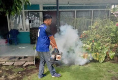 2 Kelurahan Jadi Sasaran Fogging