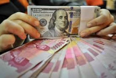 Pemerintah Siapkan Insentif untuk Tarik Dolar WNI dari Luar Negeri 