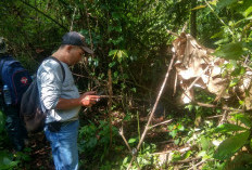 BKSDA Temukan Bekas Perburuan Satwa, Di TWA Bukit Kaba