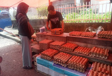 Jelang Idul Adha, Harga Telur Ayam di Curup Masih Stabil