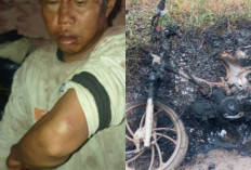  Pasal Racun Kopi, Petani Sindang Dataran Kena Bacok dan Motor Dibakar