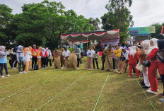 Bupati, Wabup dan Kepala OPD Ikuti Lomba Balap Karung, Semarak HUT ke-80 RI yang Digelar DWP Kepahiang