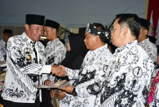 Kado HGN dan HUT PGRI, 65 Guru di Provinsi Bengkulu Terima Penghargaan : 7 dari Rejang Lebong!