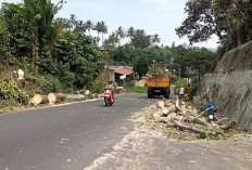 Pemda Rejang Lebong dan Warga Gerak Cepat Evakuasi Pohon Tumbang