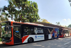 Transjakarta Dukung Peparnas XVII di Solo