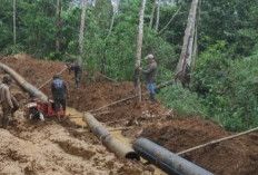 Program Cetak Sawah Rejang Lebong Mandek Karena Ini