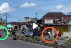 Detik-detik Sapi di Rejang Lebong Kabur Saat Akan Disembelih, Begini Cuplikan Videonya! 