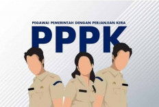 Kamu Perlu Hindari Hal Ini, Jika Tak Ingin Berkas PPPK Tak Lolos Administrasi