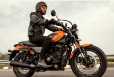 Harley Davidson X440 Tampil Segar dengan Pilihan Warna Baru