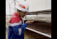 Kopi (K)Mojang, Oleh: Dahlan Iskan