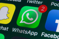 Penyebab dan Cara Mengatasi WhatsApp Tidak Bisa Mengirim Pesan