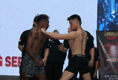 Brave CF Gelar 6 MMA di Indonesia