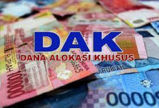 Ingin Dapat DAK, Ini yang Harus Dilakukan Sekolah di Rejang Lebong