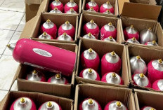  Penggerebekan Whip-Pink di Kemayoran, Ini Kronologisnya