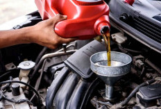 5 Cara Ampuh Membedakan Oli Palsu dan Asli agar Mesin Mobil Tetap Aman