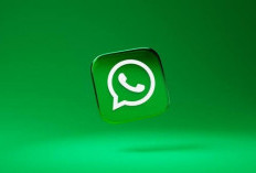 Ini Cara Scan Dokumen Langsung di WhatsApp, Ganpang dan Praktis