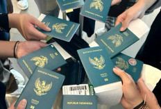 Inilah 10 Paspor Terkuat Dunia 2025 Versi Henley ! Singapura Tak Terkalahkan, Eropa Mendominasi