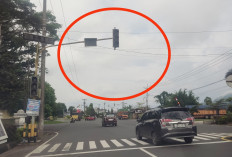 Ini Penyebab Traffic Light di Kepahiang Mati