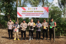 Polisi Tanam Padi Gogo di Lahan Seluas 5 Hektar