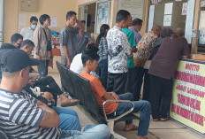 Pemutihan Pajak juga Berlaku untuk Randis, Begini Kata Samsat Rejang Lebong