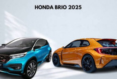 Tampilan Stylish Body dan Desain Modern, Honda Brio Terbaru 2025 Sediakan Kredit Murah 