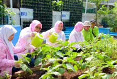 Dari Lahan Tidur Jadi Lumbung Pangan, Inilah Cerita Sukses Wanita Tani di Program BRInita BRI