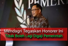 Bisa Kena Hukum! Honorer Ini Tidak Berhak Menerima Gaji dari Pemerintah