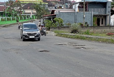 Puluhan Lubang Hiasi Jalan Dusun Curup