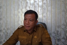 PAD Pariwisata Tahun 2025 Tak Capai Target