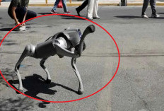  Piala Dunia 2026 di Meksiko Gunakan Robot untuk Keamanan