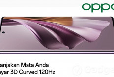 Rekomendasi Android OPPO dengan Layar Lengkung