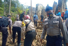 Tambang Emas Liar Terus Menjamur