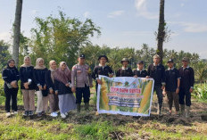 Tanam Jagung, Pemdes Suka Marga Dukung Program Pemerintah