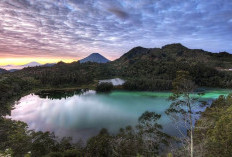 Rahasia Hangat Wisata Dieng, Inilah 3 Minuman Tradisional yang Menemani Dingin Pegunungan