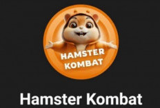 Token Hamster Kombat Masuk ke Wallet, Begini Langkah-langkahnya!!