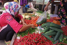 Harga Cabai Bertahan di Rp 70 Ribu per Kg