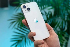 iPhone 13 Kini Dibanderol Mulai Rp 3 Jutaan?