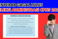 Bisakah Daftar CPNS Lagi Jika Pernah Gagal, Berikut Penjelasannya!