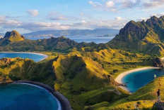 Main Mata Sama Komodo, Liburan Penuh Kejutan di Labuan Bajo !