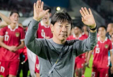 Persija Resmi Jadikan Shin Tae-yong Sebagai Pelatih, Ini Alasannya 