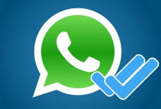 Ini Cara Mengetahui Chat WhatsApp Sudah Dibaca atau Belum Meski Tak Centang Biru