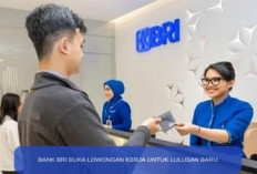 Buruan Daftar! Bank BRI Buka Lowongan Kerja untuk Lulusan Baru D3, D4 dan S1, Ini Posisi yang Dibutuhkan 