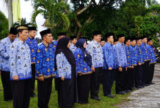  61 PNS Naik Pangkat Tunggu Persetujuan BKN