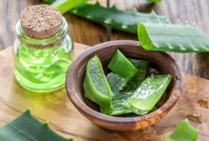 Tips Merawat Mata Secara Alami, 3 Tanaman Herbal yang Wajib Dicoba !