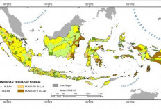 BMKG Beberkan Fakta Musim Hujan RI 2024/2025 Sedikit Aneh, Simak Info Lengkapnya Berikut Ini