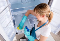 Anti Asam, Anti Basi ! Inilah 7 Tips Cerdas Menyimpan Sayur Matang di Kulkas