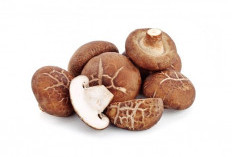 Mau Hidup Sehat dan Awet Muda ? Coba Konsumsi Jamur Shitake !