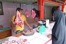 Harga Daging Lokal Terpantau Stabil